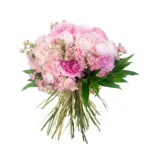 Petaline