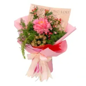 Peony Accord