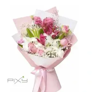Blush Blossom
