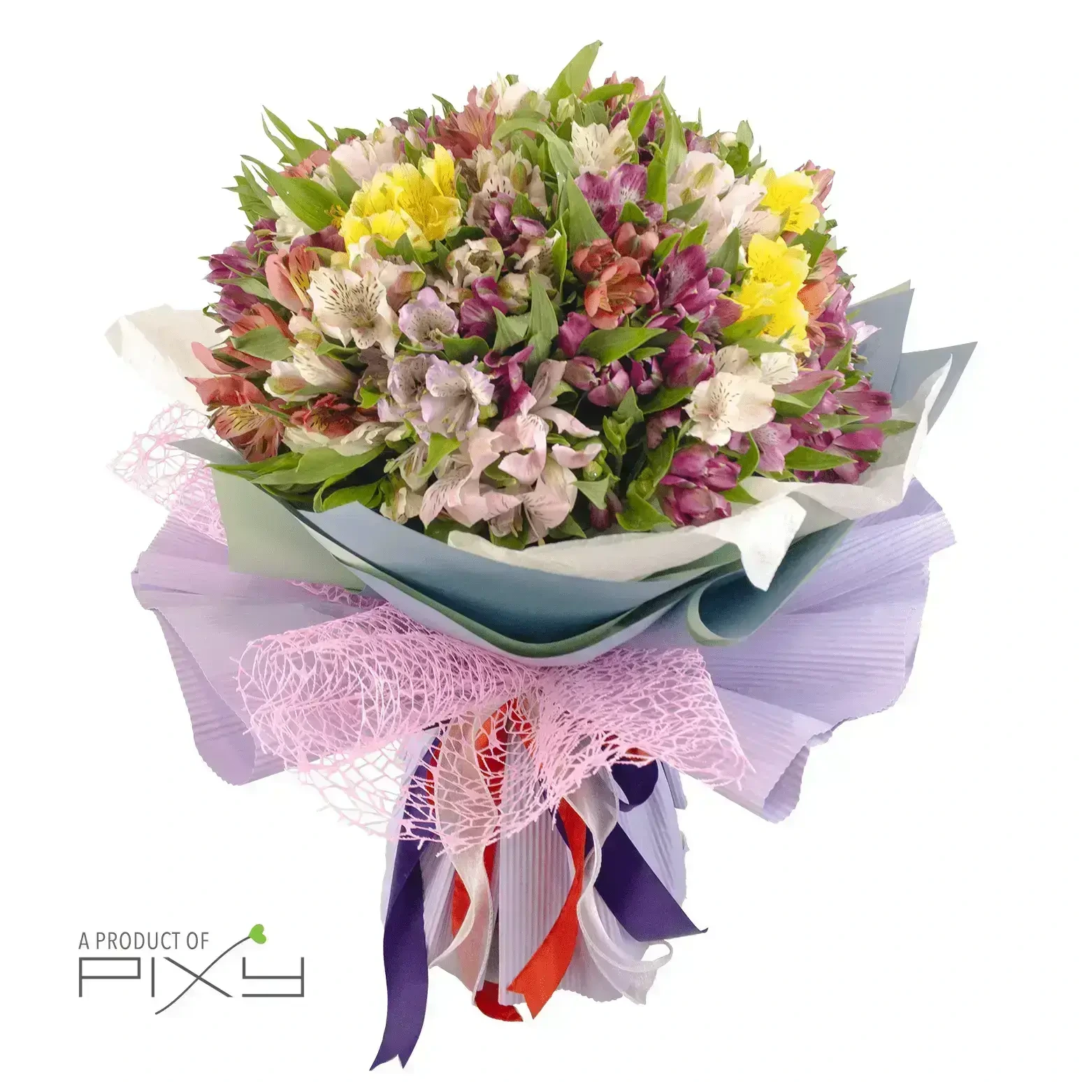 Alstroemeria Medley