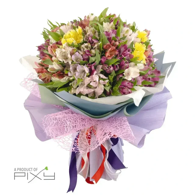 Alstroemeria Medley