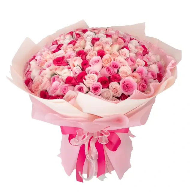 Rose Abundance