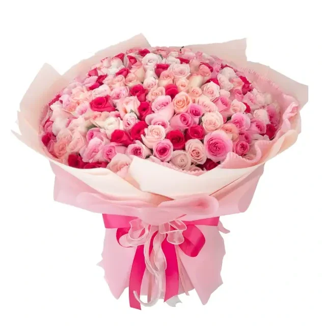 Rose Abundance