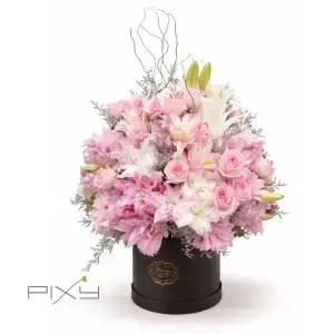 Petal Sonata
