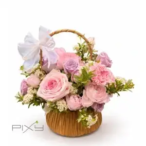 Lilac Day Dream