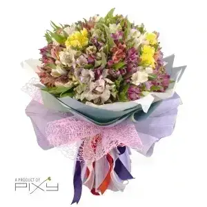 Alstroemeria Medley