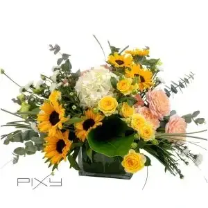 Joyful Assortment