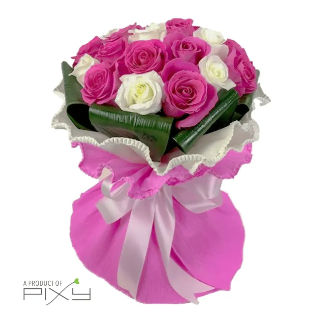 Delightful Blooms