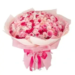 Rose Abundance