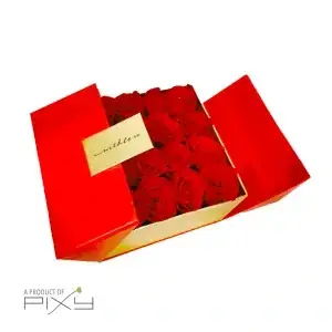 Love Potion