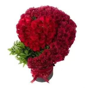 Crimson Heirloom