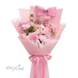 Pink Rosette