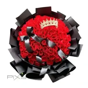 Imperial Velvet Bloom