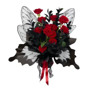 BUTTERFLY SILHOUETTE