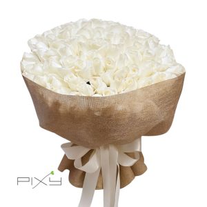 lucid vision exhibit