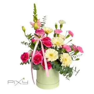 vibrant garden flora