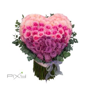 the limitless impact heart